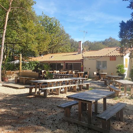 Mobilhome Proche Puy Dufou La Boissiere-de-Montaigu Extérieur photo